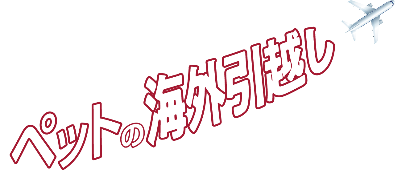 日本からタイまで ペットの海外引越し 教えて エコノムーブジャパン！！